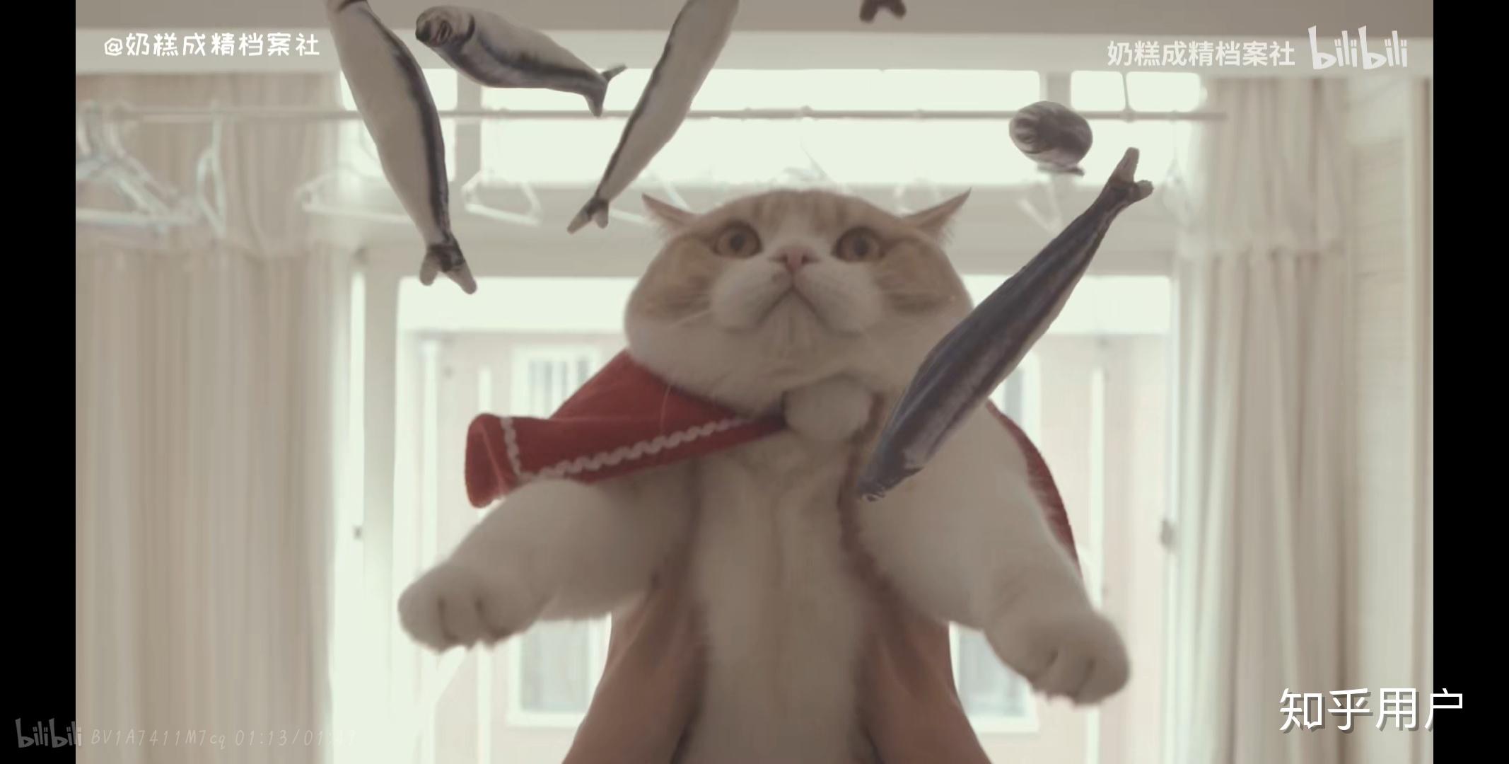 如何评价b站奶糕成精档案社