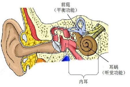 首大戴海江:前庭神经炎要如何治疗 - 知乎