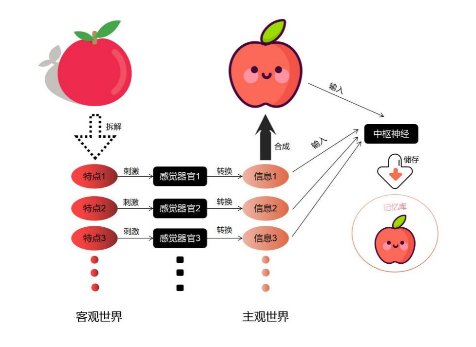 心理学理论知识第5期：认知过程 - 知乎