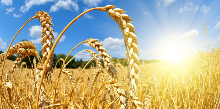 Transformer模型之Encoder结构在文本分类中的应用 - 知乎