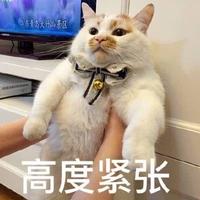 Zhihu profile picture for @mitsubishi