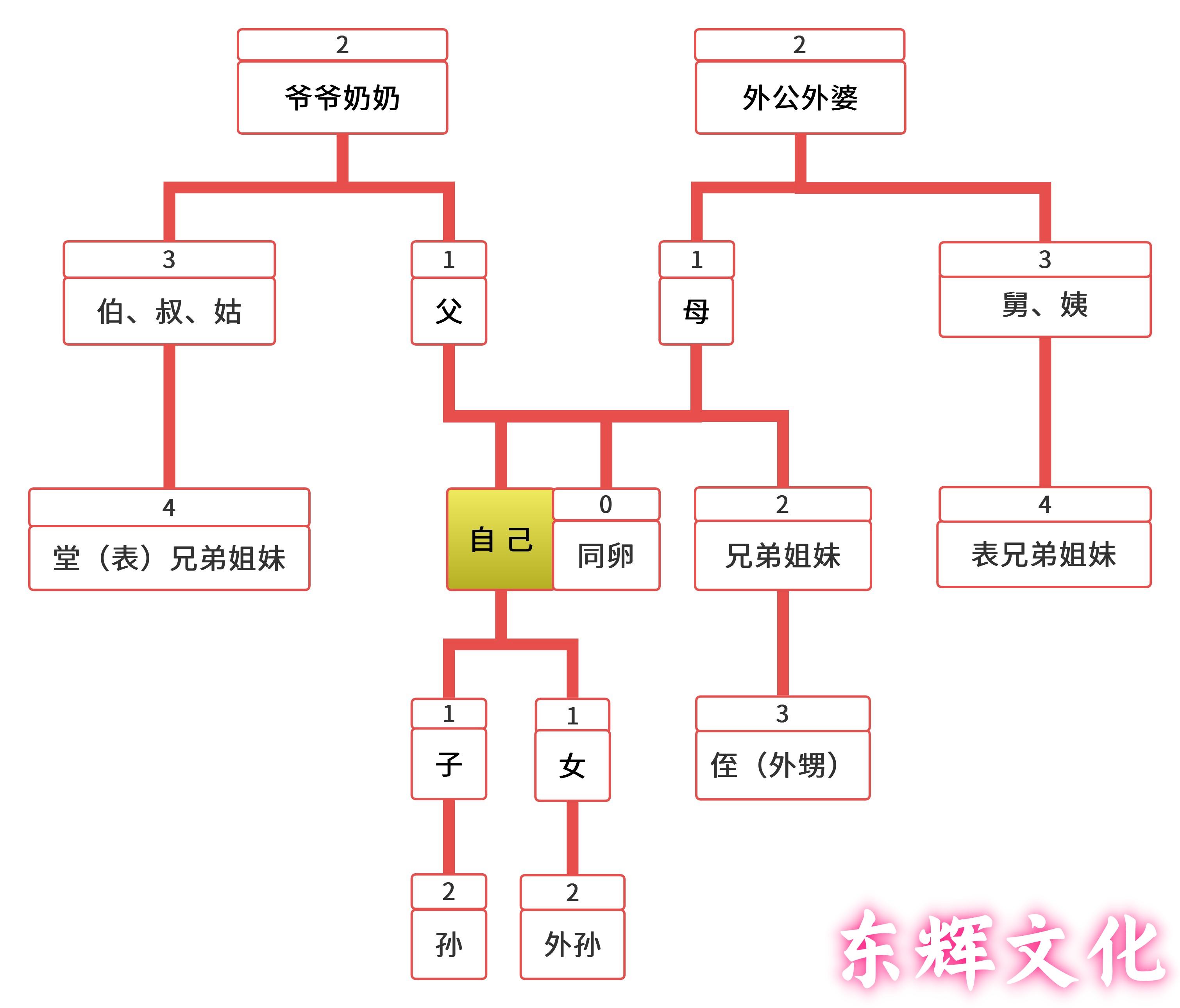 血缘关系真的很重要吗?