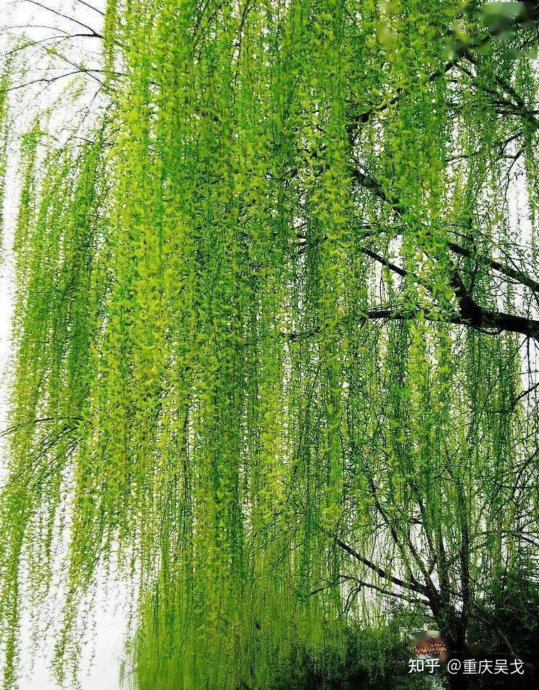 古代军队为了保持行军安静,非要嘴里“衔枚”吗? - 知乎