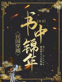 民国穿越书中锦年