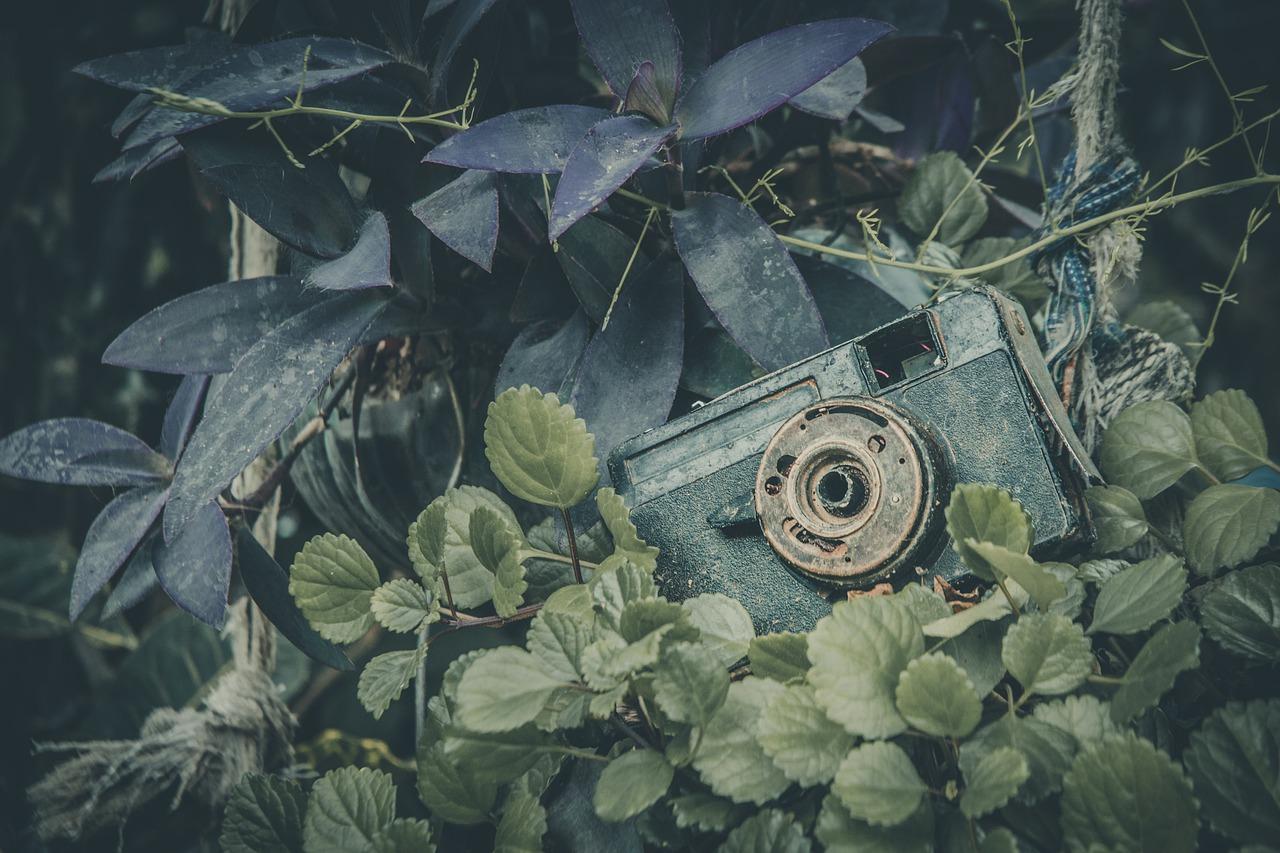 后奋斗足迹：平凡中的不凡成就