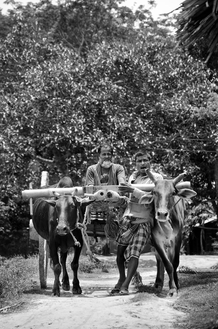 1. 长冲街房产分布