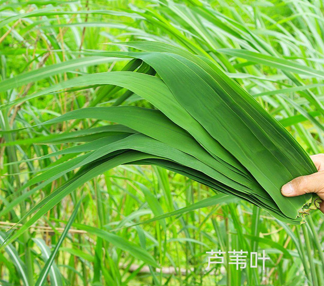 箬叶为什么取代菰叶成为现在主流的粽叶呢？ - 知乎