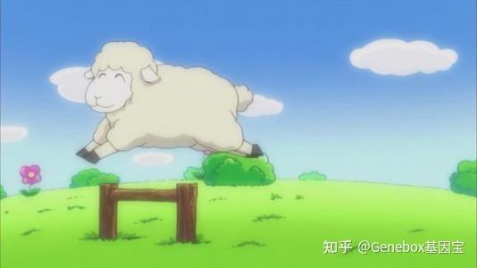 数羊真的能够帮助人快速入睡吗? - 知乎