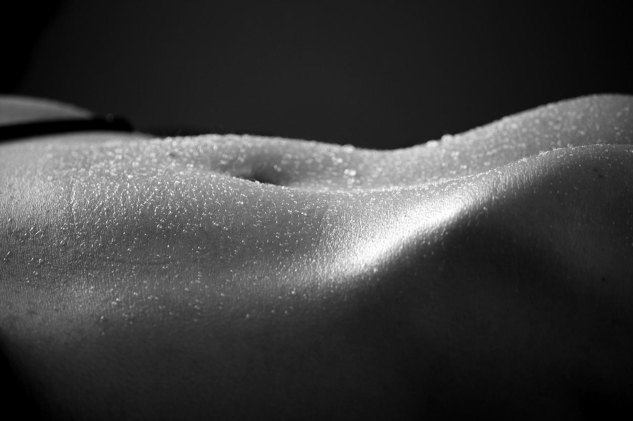 3. 菊花生长方法