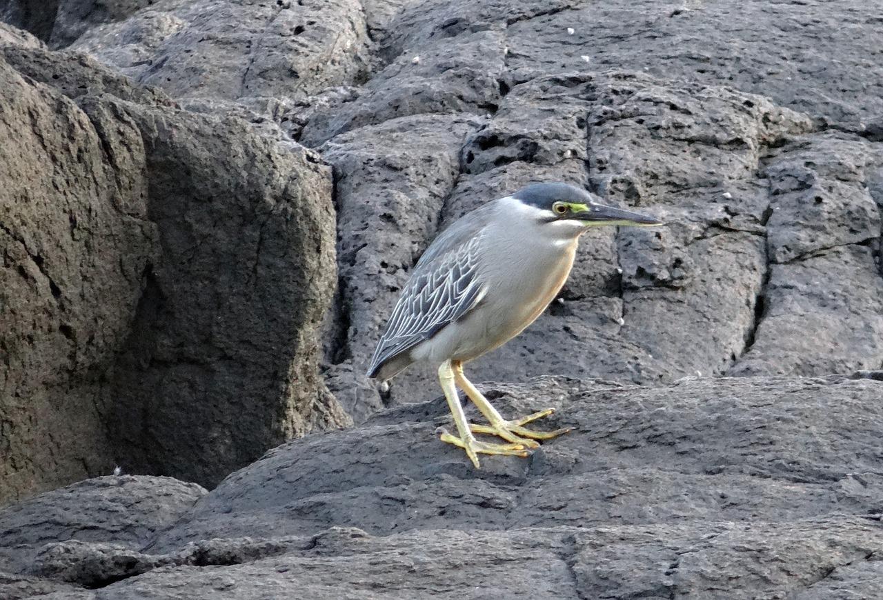 4. 鹭城房价走势