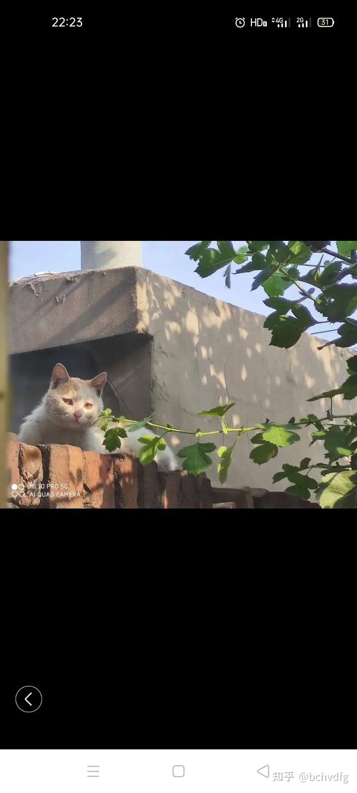 你们有没有江添的微信头像啊? - 知乎