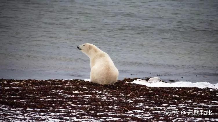 生物多样性为什么如此重要若生物多样性丧失会给我们的生活造成哪些