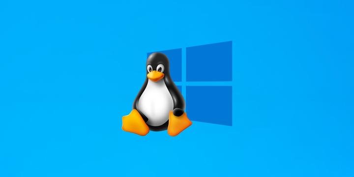 Linux虚拟运行环境:WSL、VMware对比及维护 - 知乎