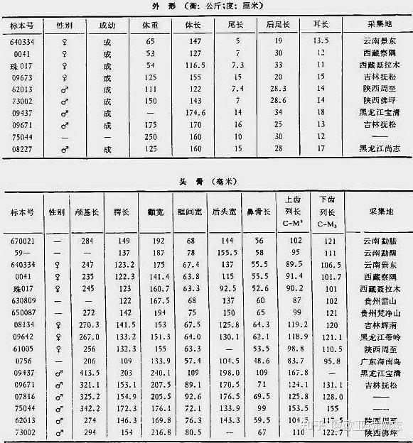 熊霸天下(一)熊的种类与分布 - 知乎
