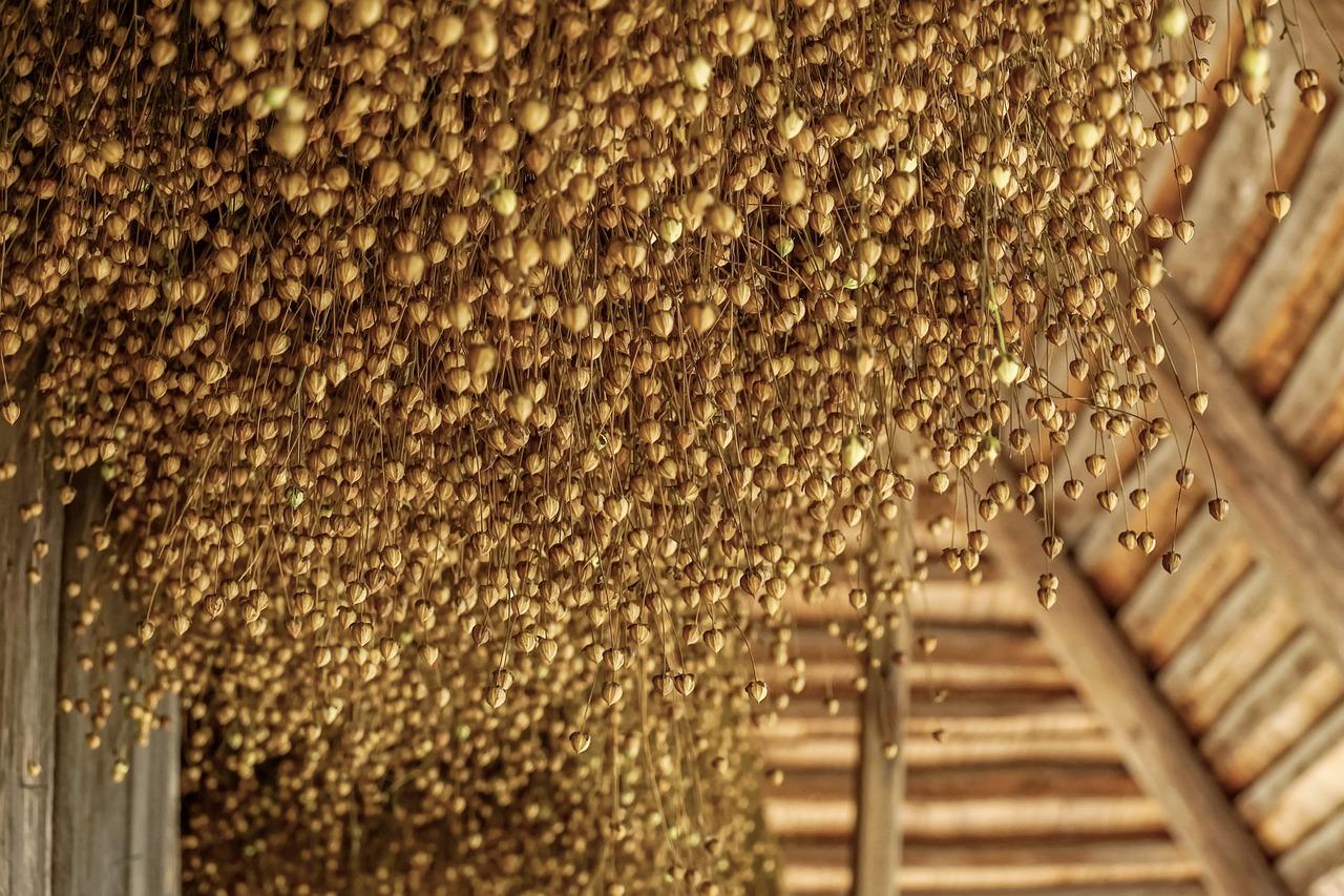 4. 日照木浆厂产品