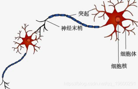 请问bp神经网络优化的问题作为本科毕业设计是难还是容易? 