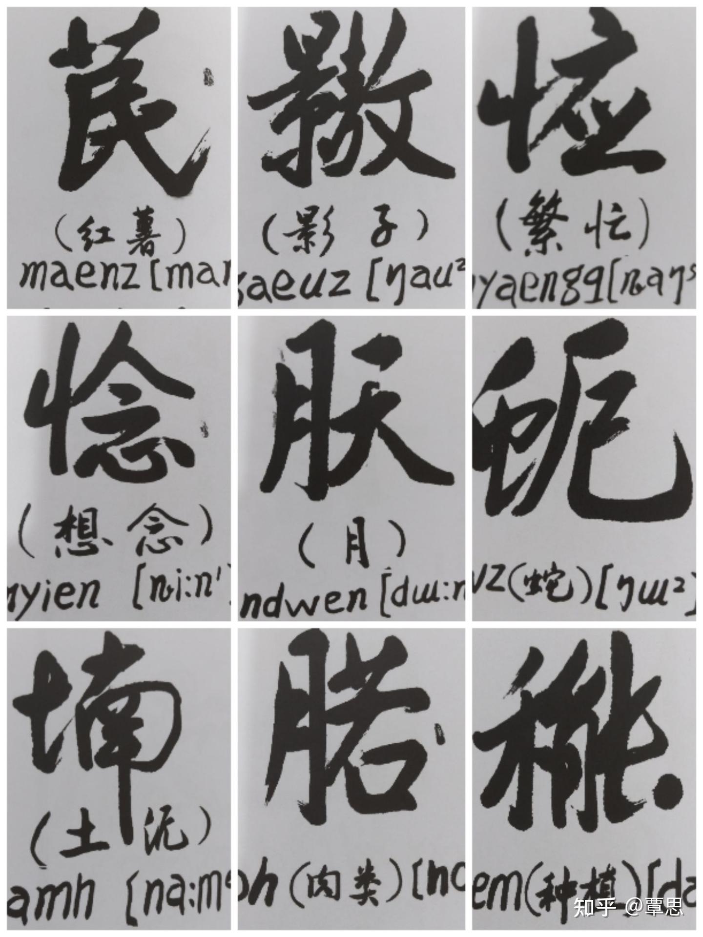 说说壮族文字~方块壮字 - 知乎