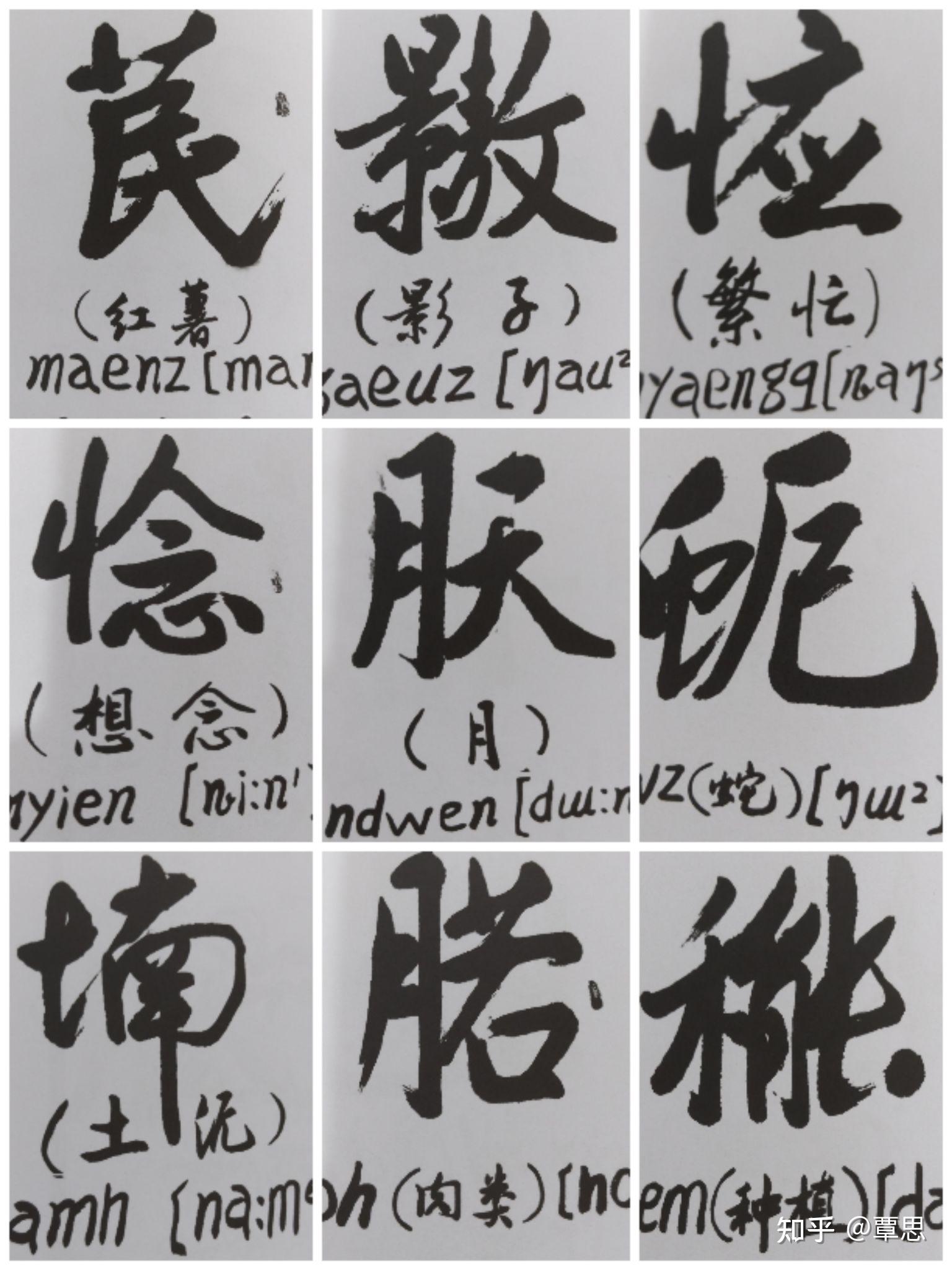 说说壮族文字~方块壮字 - 知乎