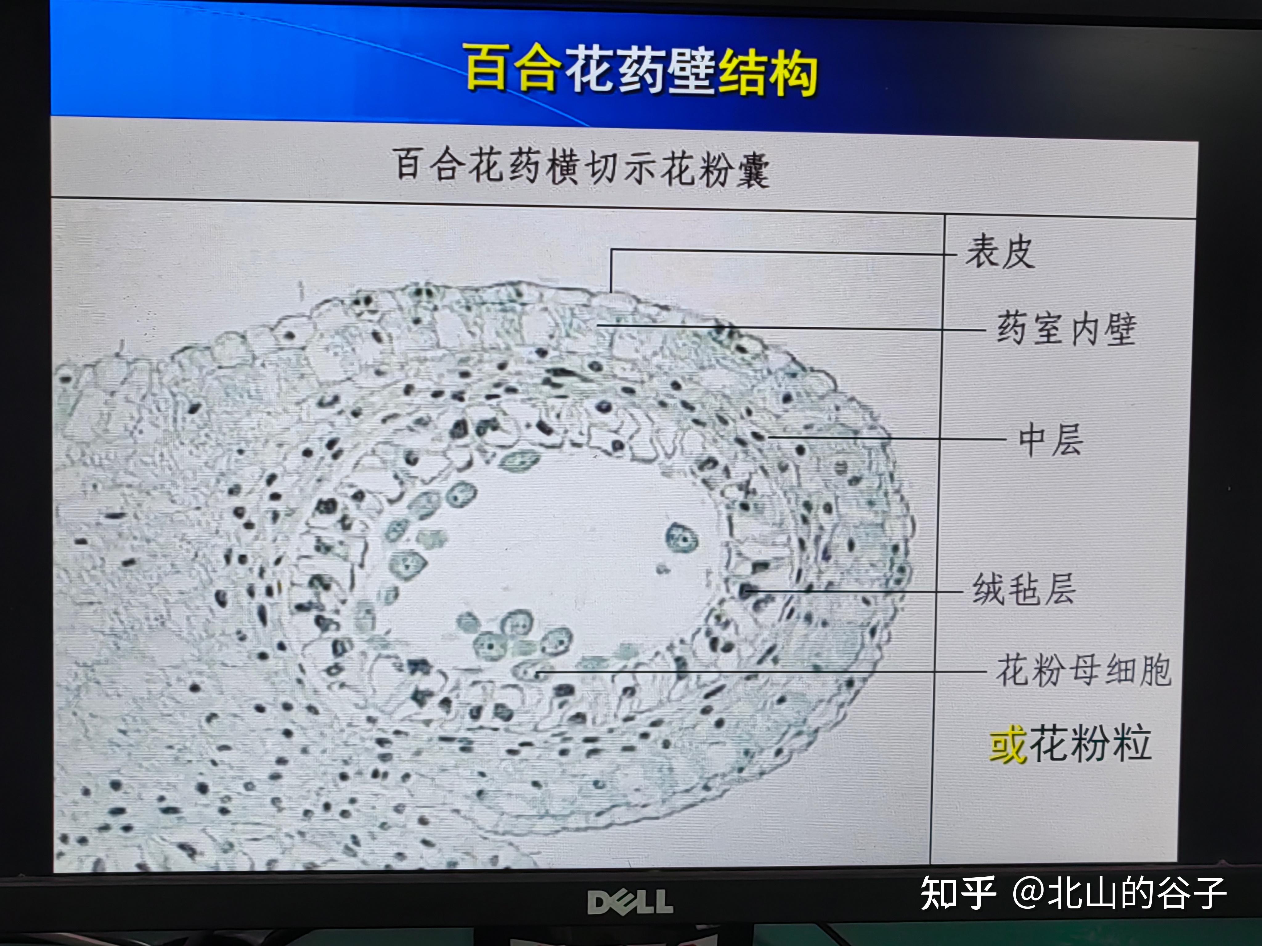 如果你手机里的第13张照片变成你的伴侣你有什么感受