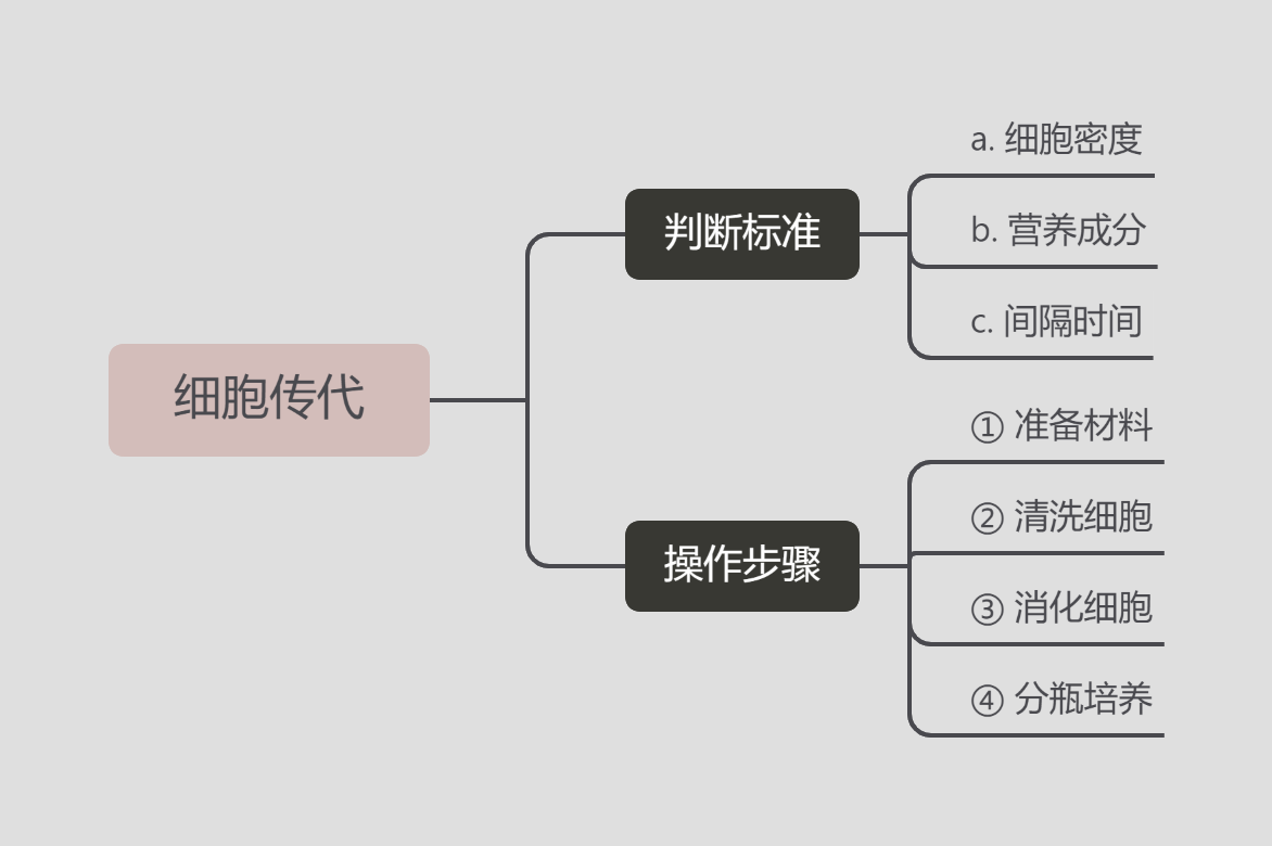 如何进行细胞的传代培养? - 知乎
