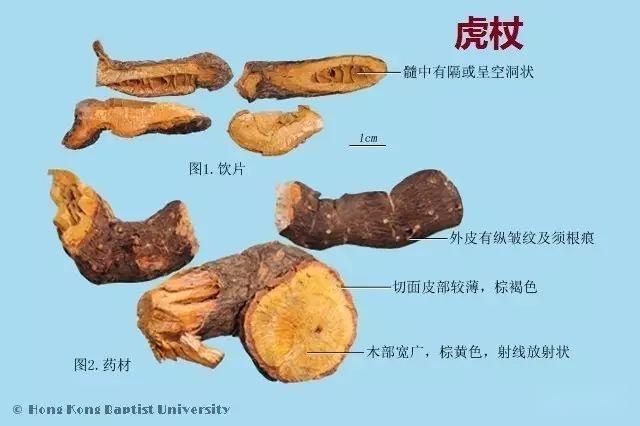 223种中药的鉴别图谱(彩图注释) - 知乎
