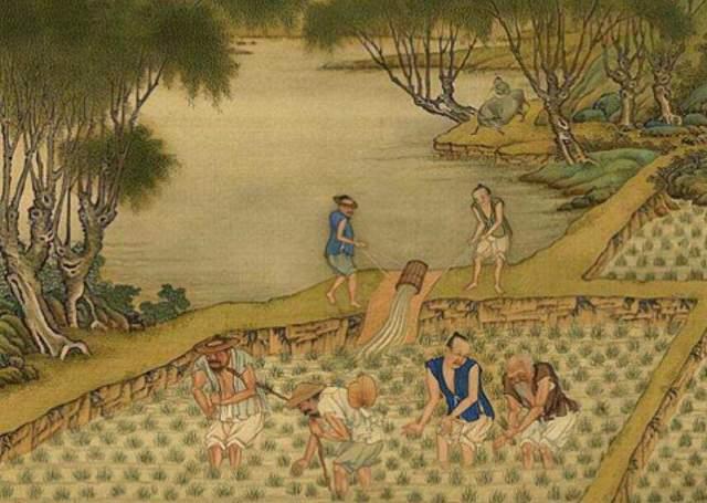 丰收之季，细说中国古代农业农具发展史 - 知乎