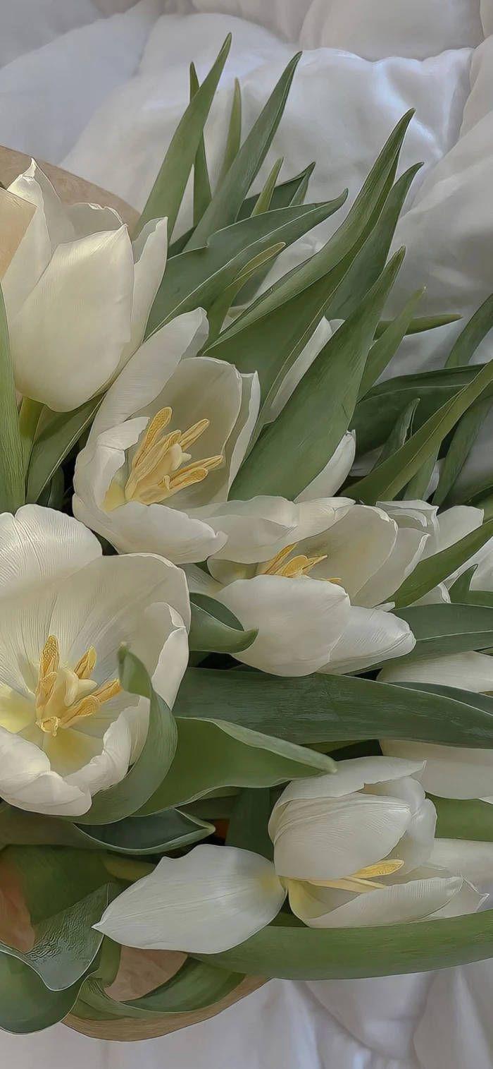 有哪些好看的微信聊天背景图? - 知乎