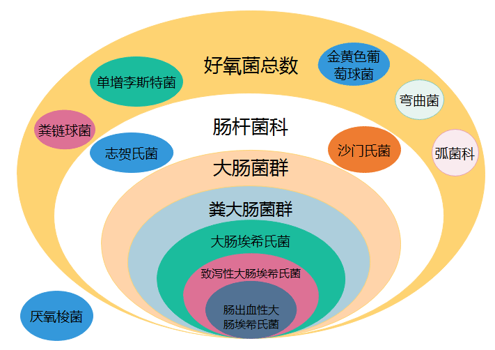 冰块里为什么会有它?平时会不会吃到粪大肠菌群?