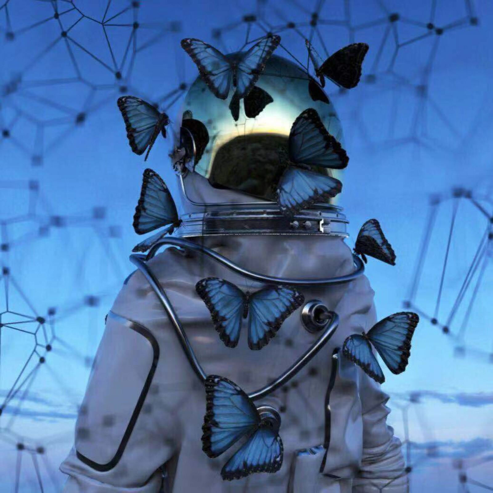 有没有黑白的蝴蝶头像或壁纸推荐,或者蝴蝶的壁纸也可以? - 知乎