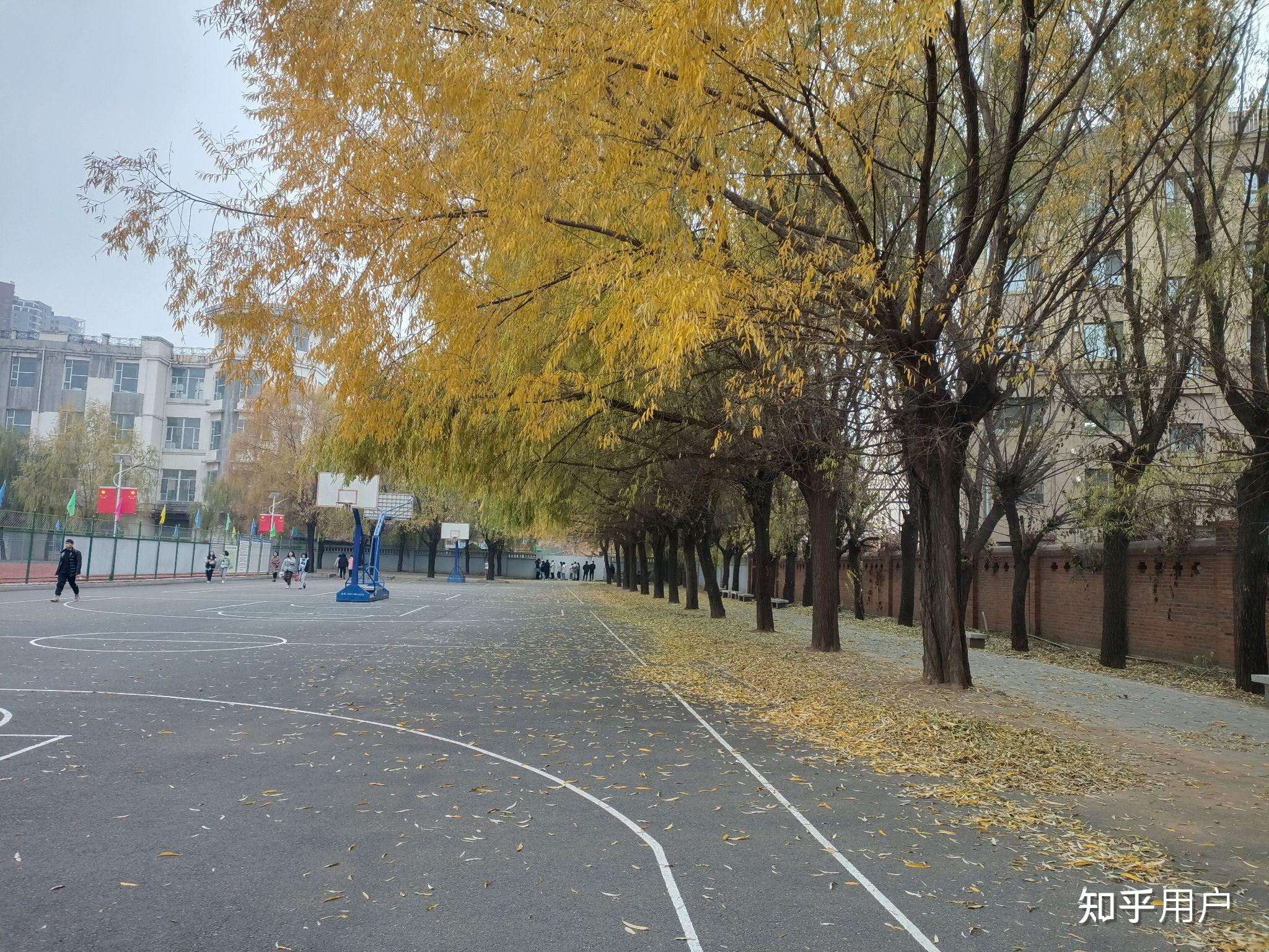 北華大學師範分院好麼