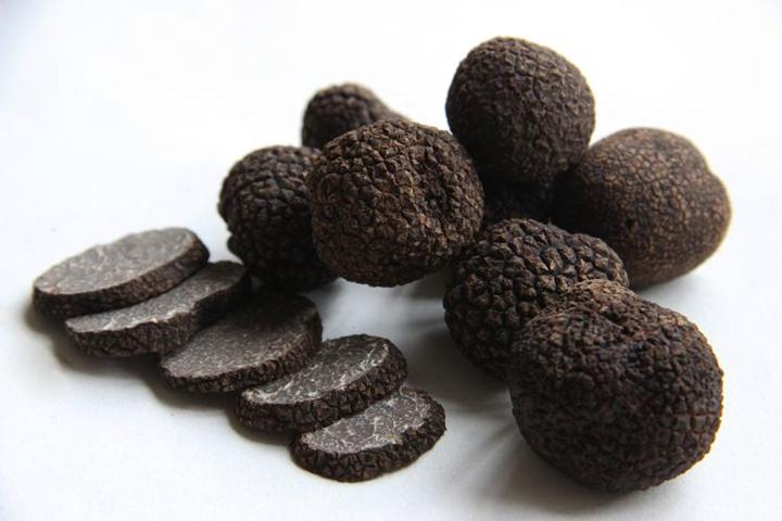 “餐桌上的钻石”~ 松露 The Diamond of Table ~ Truffles（之二） - 知乎
