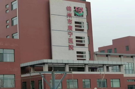 包含302医院检查陪护加挂号出院结算协助办理，不用费心折腾的词条
