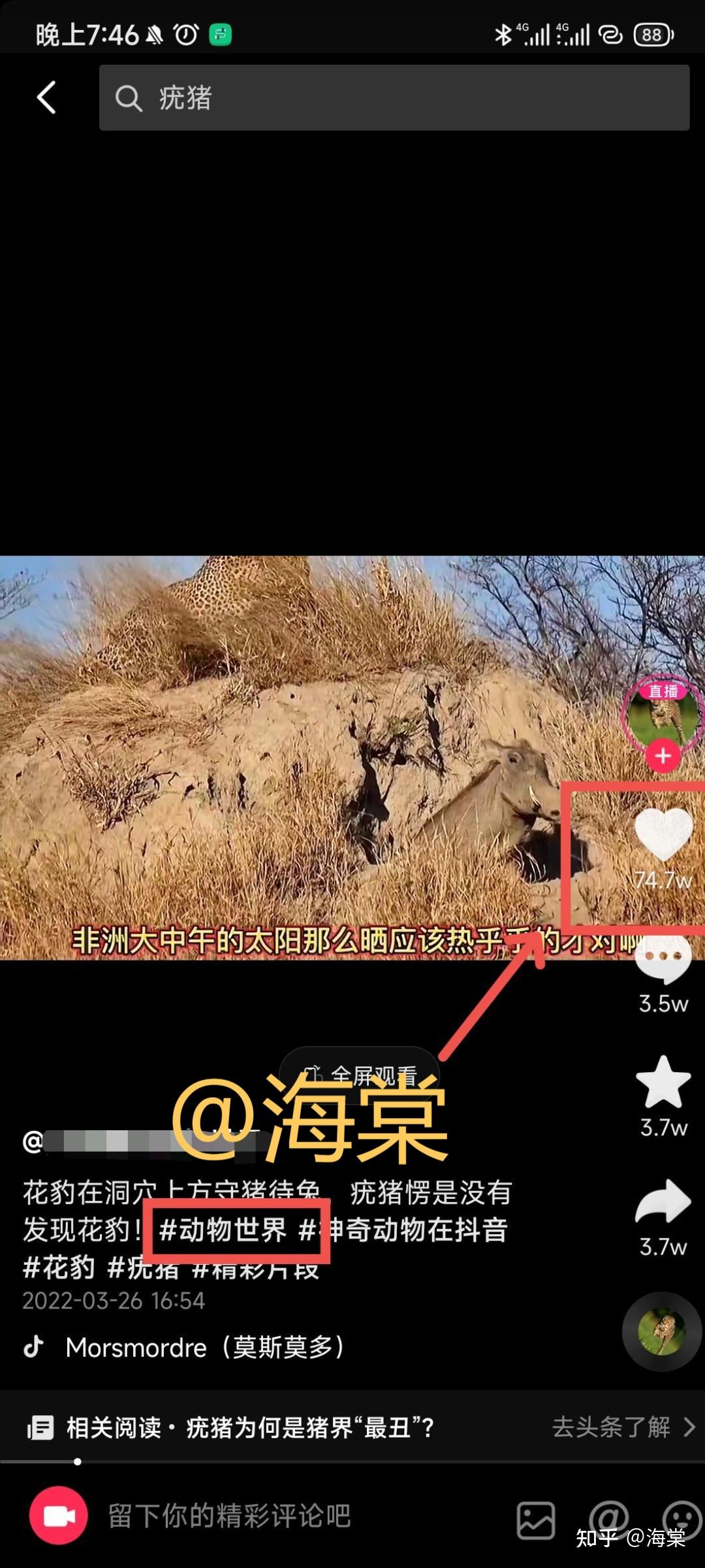 下班在家剪辑纪录片解说视频,一天挣了959.11多,适合没口才的人 - 知乎