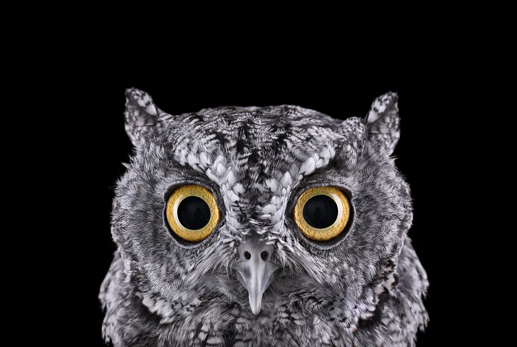 小米11ultra的背屏有什么好玩的图片,求分享?