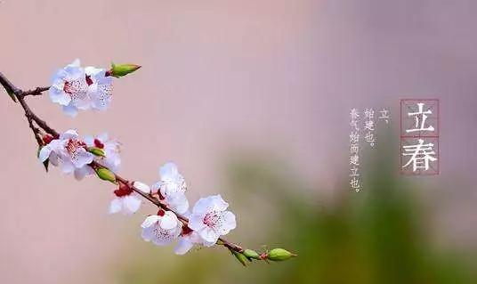 “立春”来了！“咬春”、“拜春”、“春饼”英文都怎么说？ - 知乎