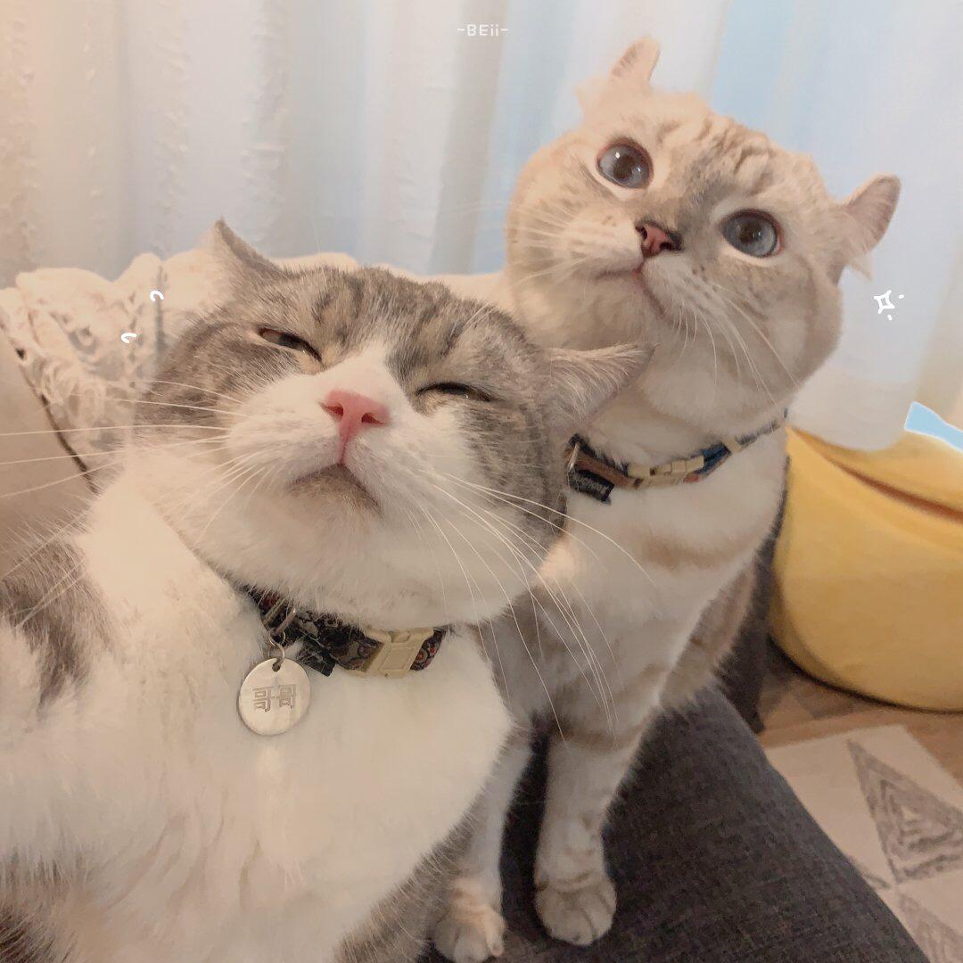 有什么让你第一眼就被惊艳到的闺蜜头像吗? - 知乎