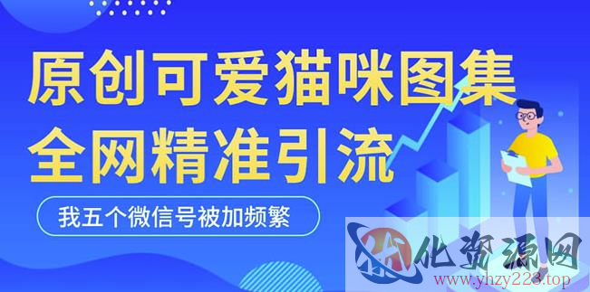 黑科技纯原创可爱猫咪图片，全网精准引流，实操5个VX号被加频繁