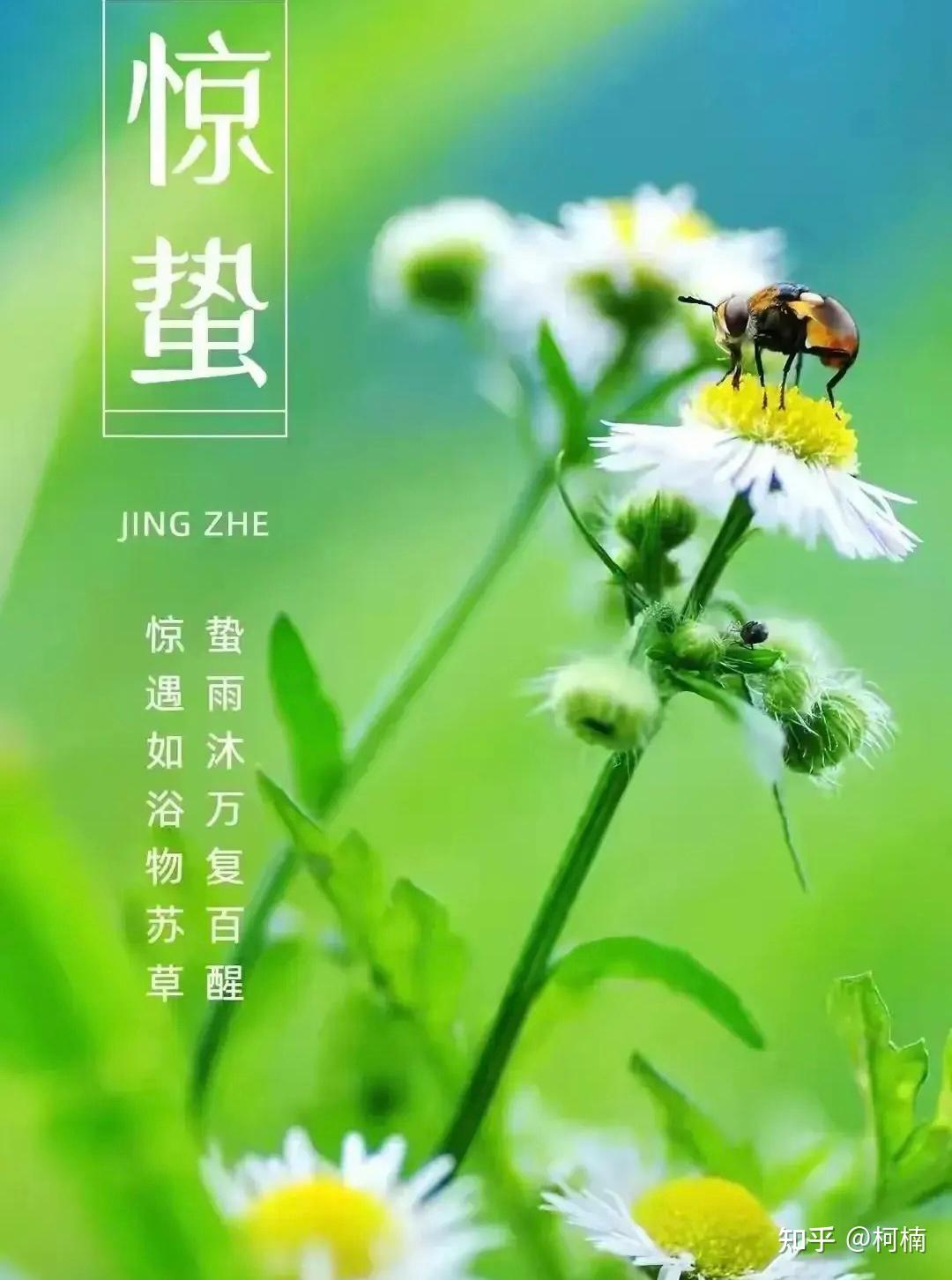 the prelude of spring生命的篇章在春的序曲中绽放出最绚烂的色彩may