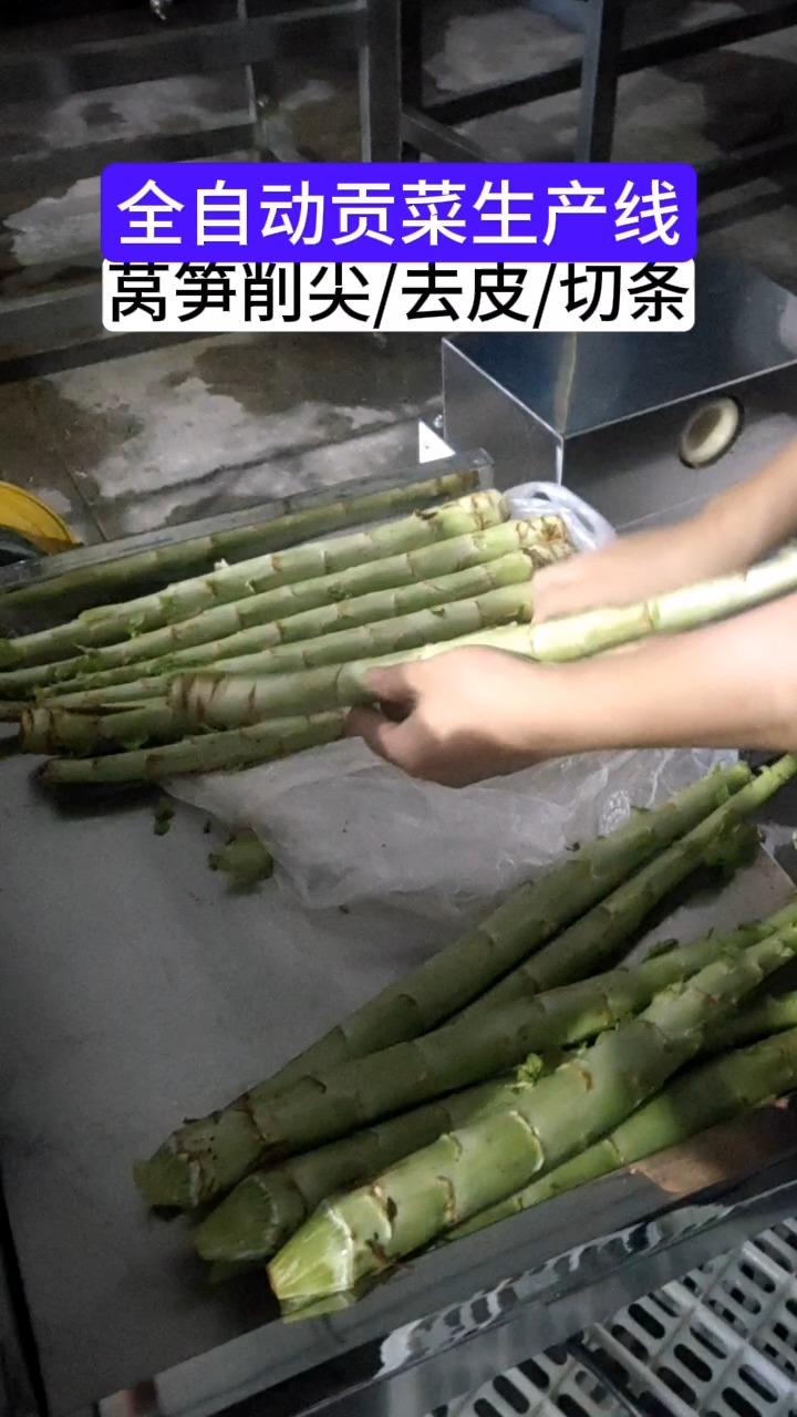 全自动贡菜加工设备