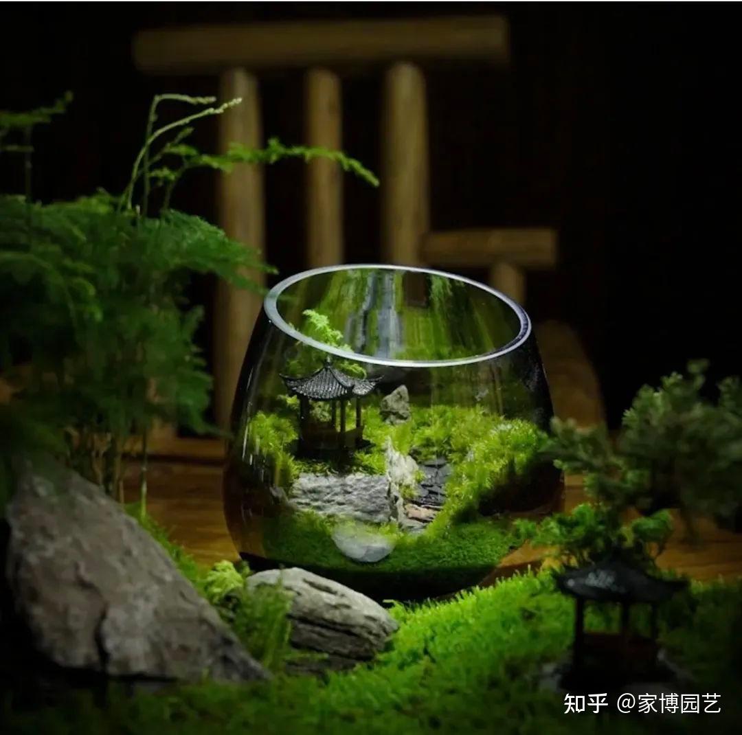 家博园艺 | 室内微景观上新 - 知乎