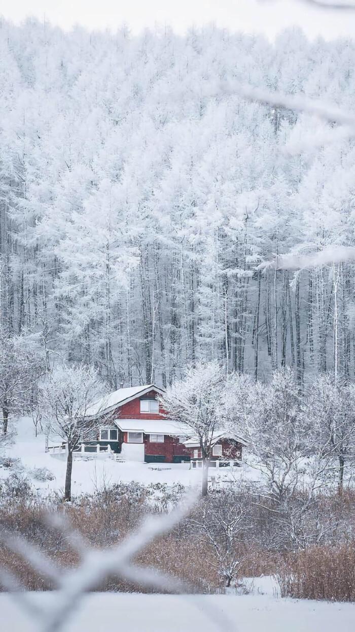故乡的冬,故乡的雪 - 知乎
