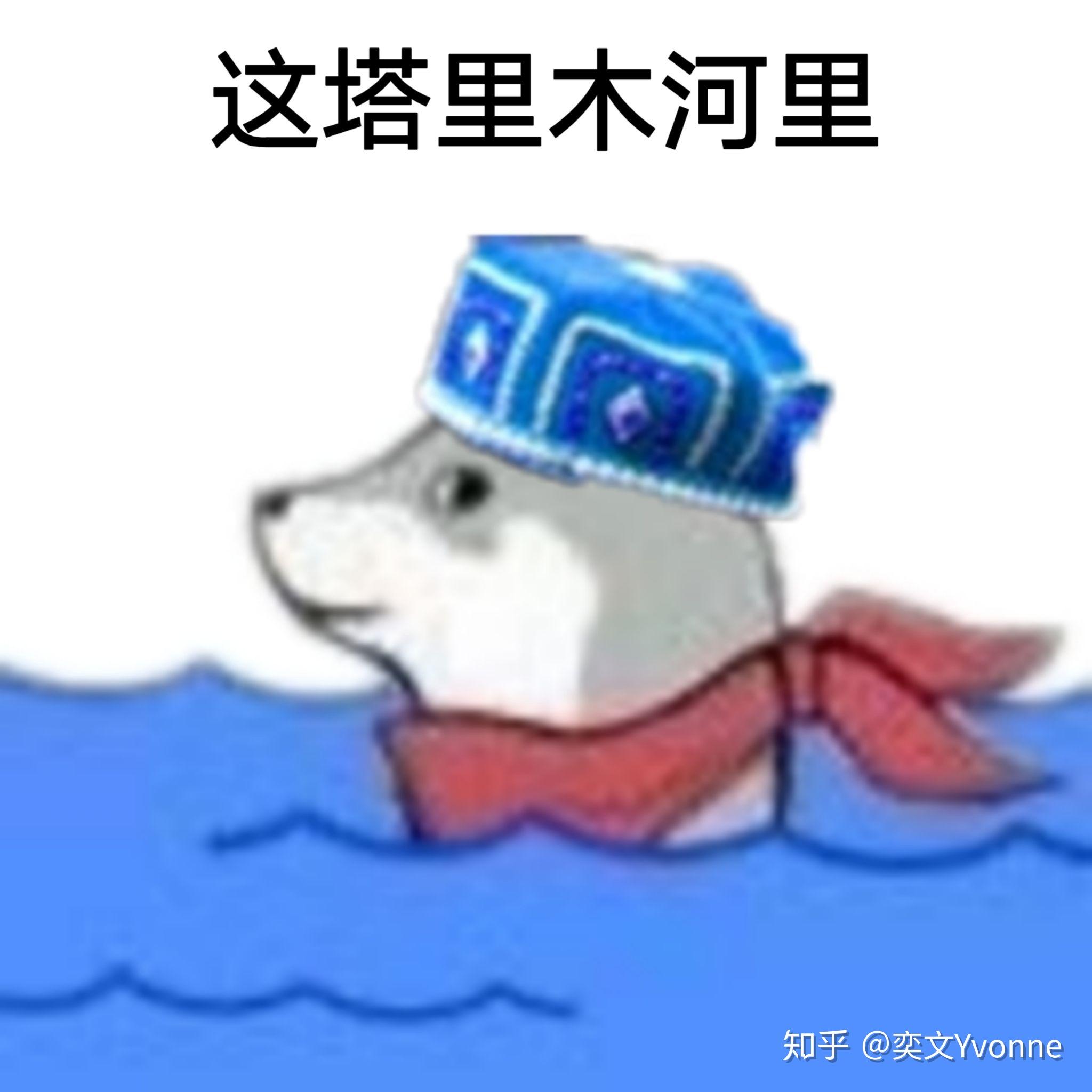 这一系列表情包这河里吗还有更多的么
