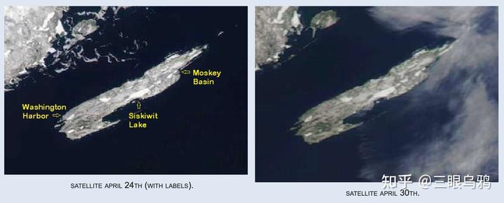 如果将 20 只狼和 500 只鹿放进同一孤岛，最后谁能活下来？