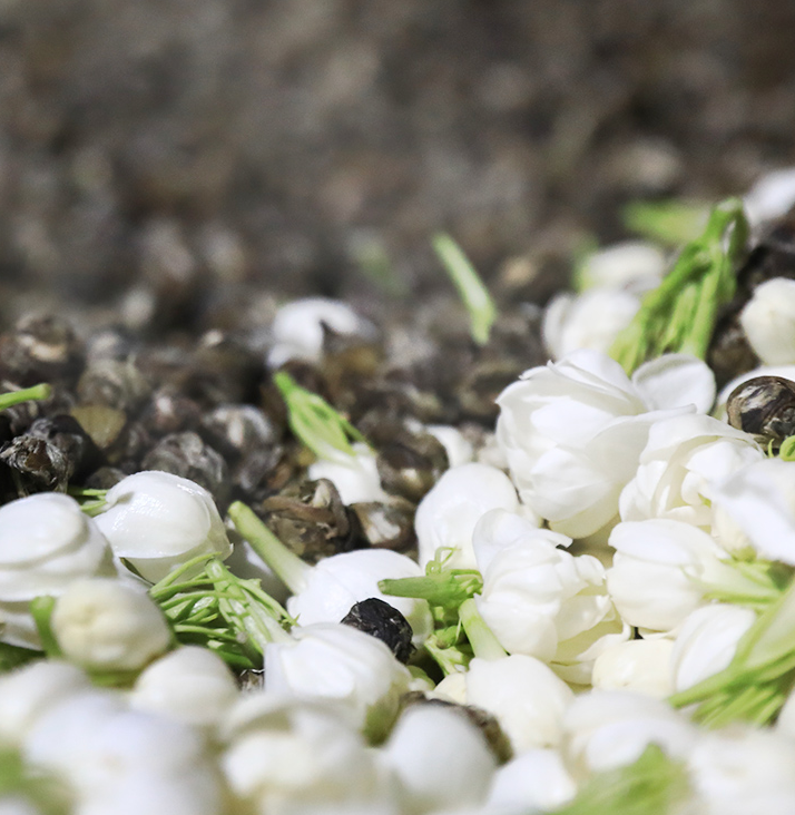 为什么茉莉花茶里面没有茉莉花