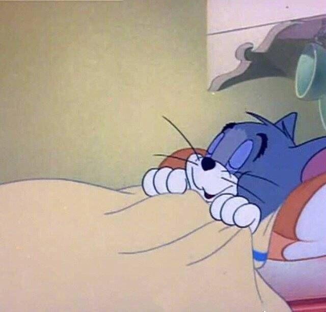 有没有 汤姆猫睡觉的表情包 急!