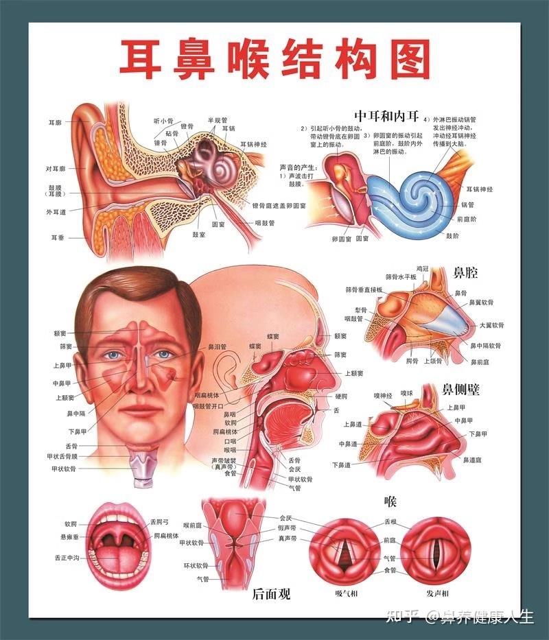 鼻窦炎初期有什么病症？ - 知乎