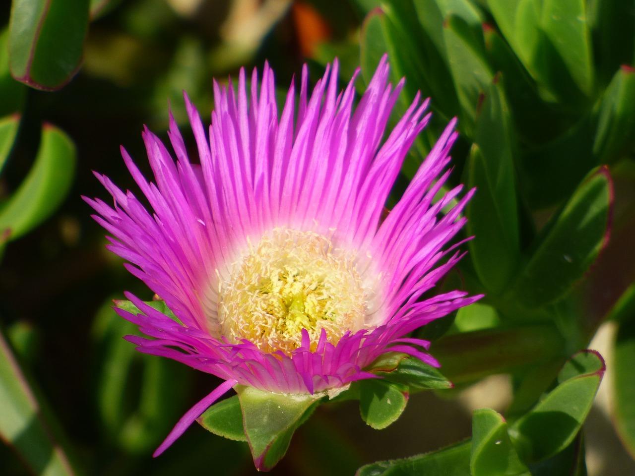 3. 广场周边住宅