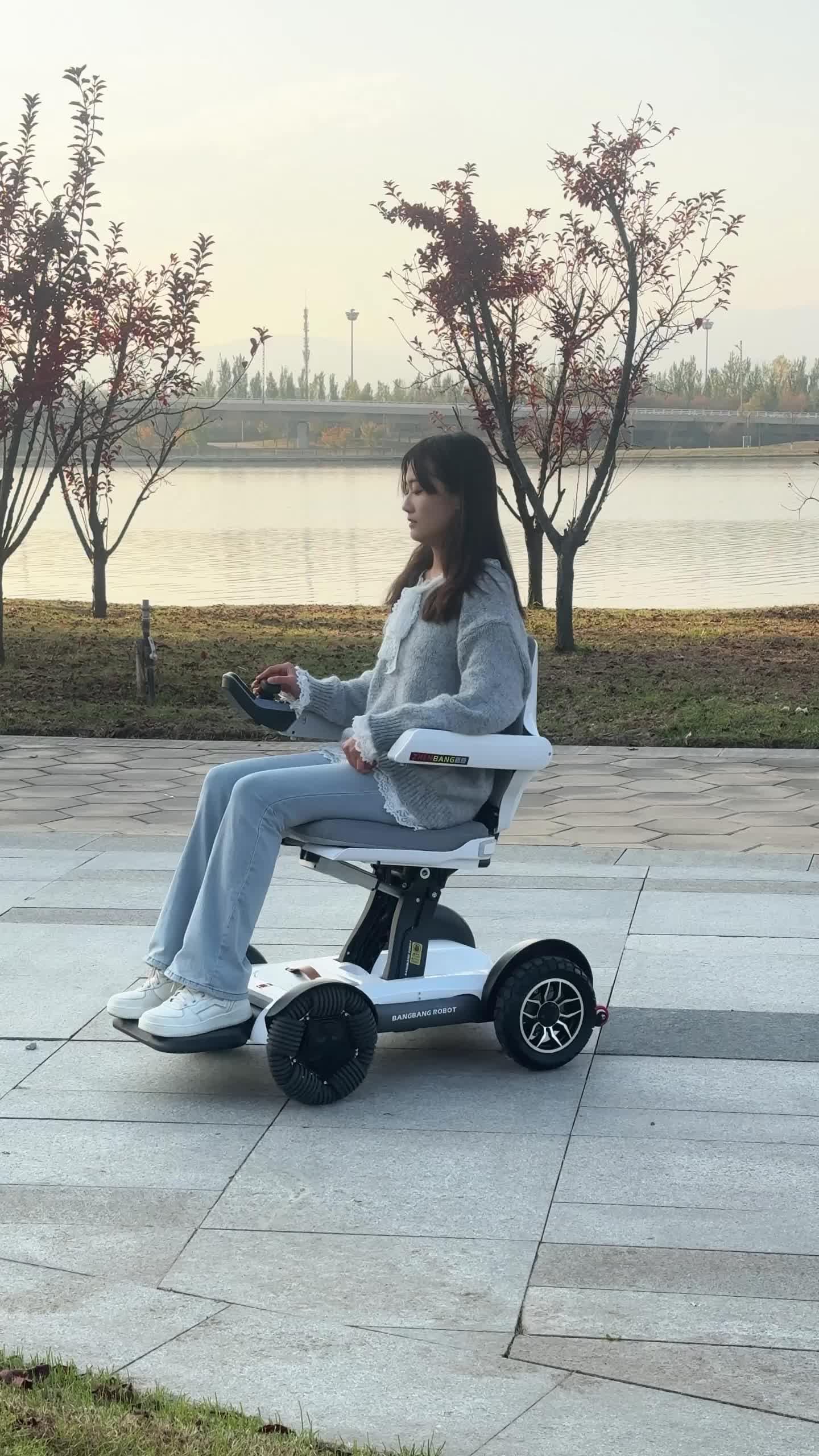 振邦折叠全自动老人代步车