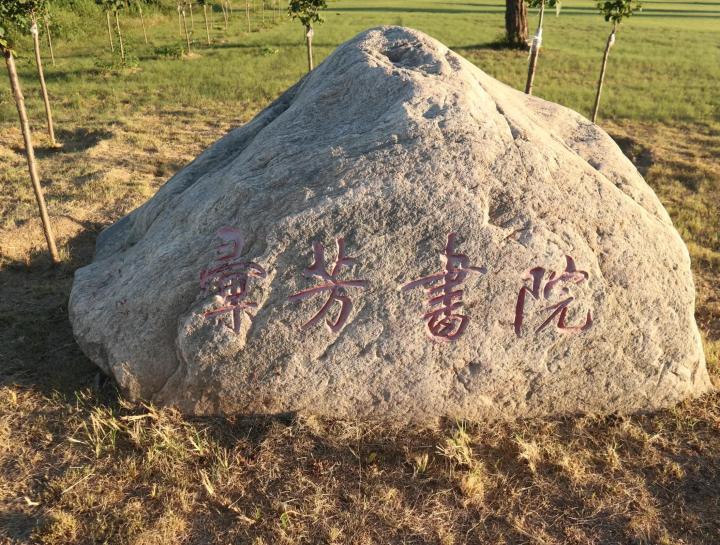 神秘的大果榕:世界上最大的无花果!你吃过吗 - 知乎
