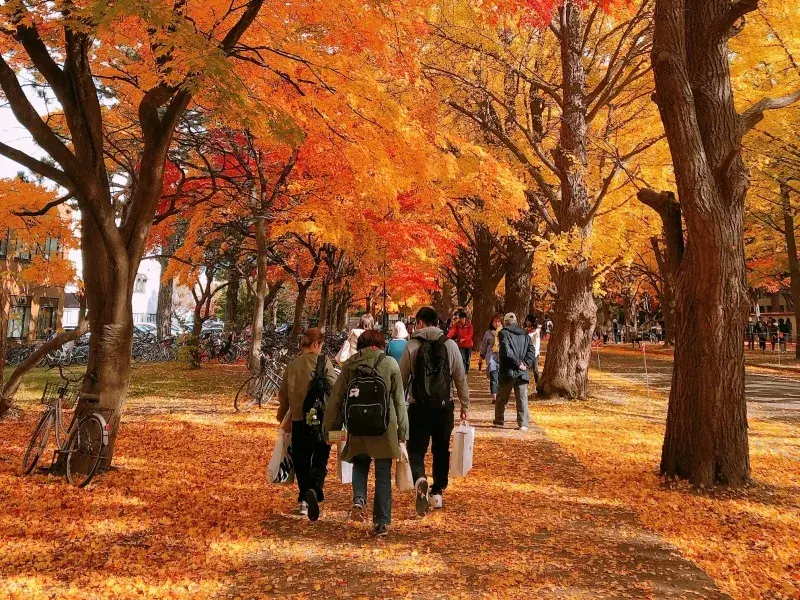 请输入图片描述